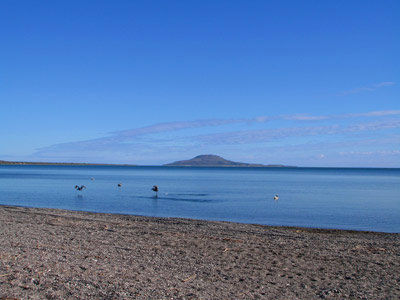 Desert Inn Loreto Loreto  Luaran gambar